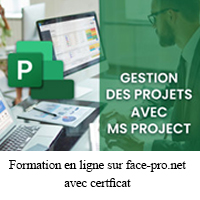 Formation MS-Project
